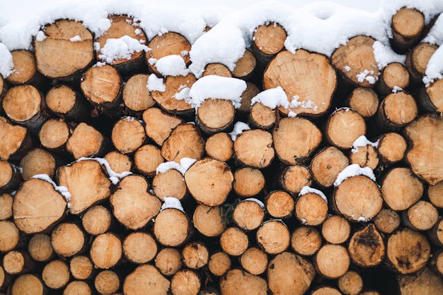 Sevenoaks Firewood - are your logs too cold?